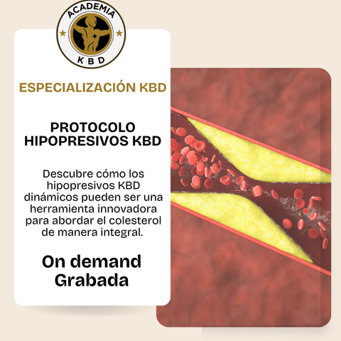 ESPECIALIZACIÓN KBD: Hipopresivos y Colesterol - Protocolo Entrenamiento Hipopresivo KBD