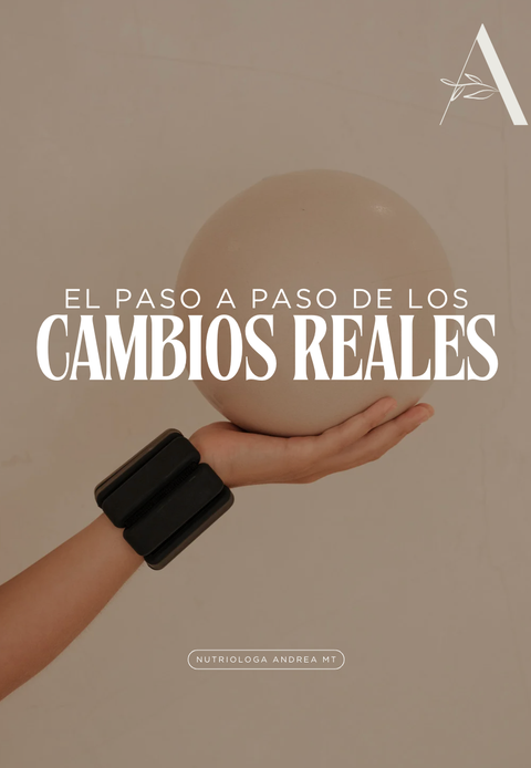 PASO A PASO DE LOS CAMBIOS REALES