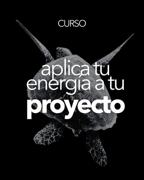 Proyecto Creativo