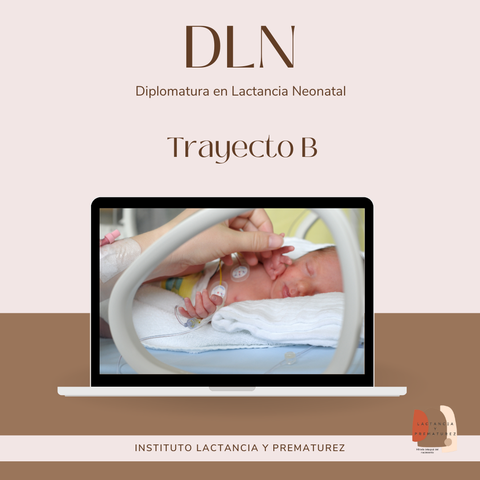 Diplomatura en Lactancia Neonatal 2026:  Trayecto Pedagógico B  ''El recién nacido en estado critico ''