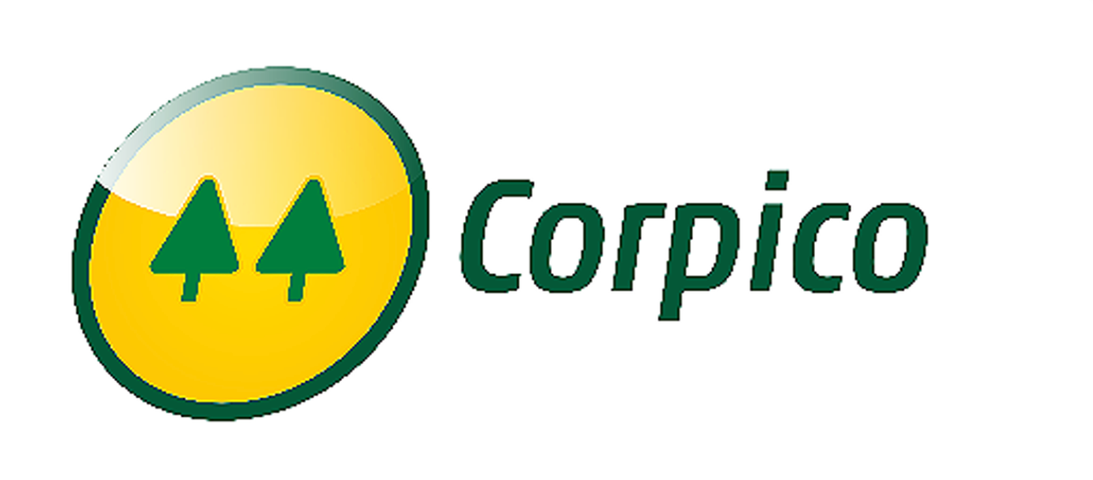 [CORPICO] Desarrollo de Equipos de trabajo - Septiembre 2026