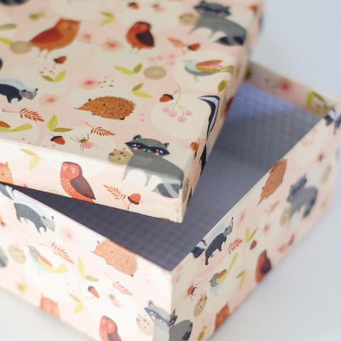 Caja con Tapa