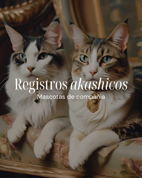 Registros akashicos mascotas de compañía 