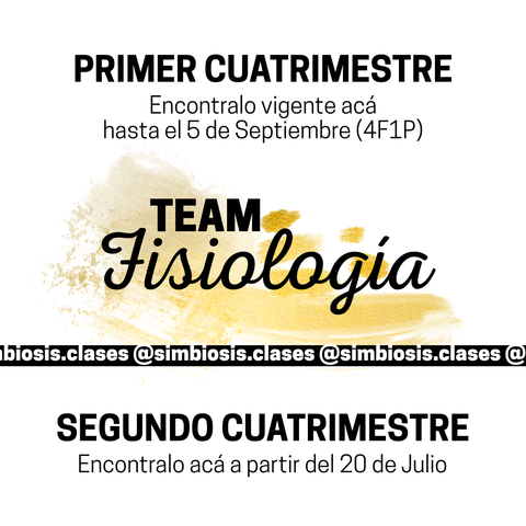 FISIO TEAM