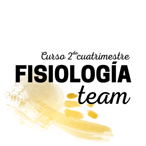 FISIO TEAM