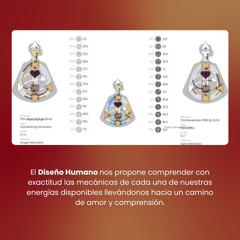 Lectura vincular