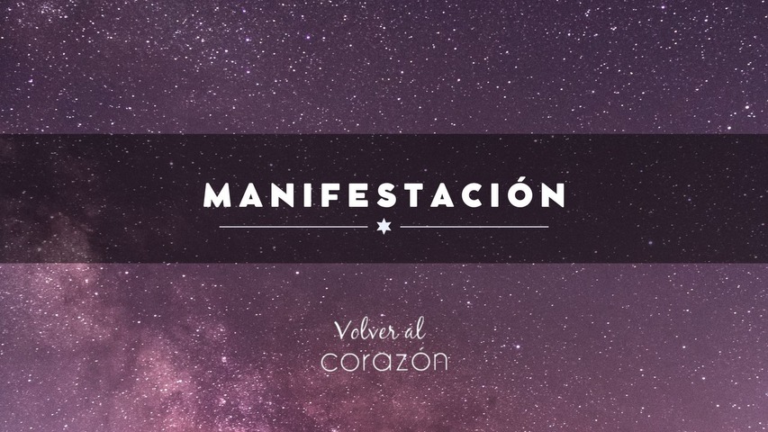 Manifestación VIP Vol V