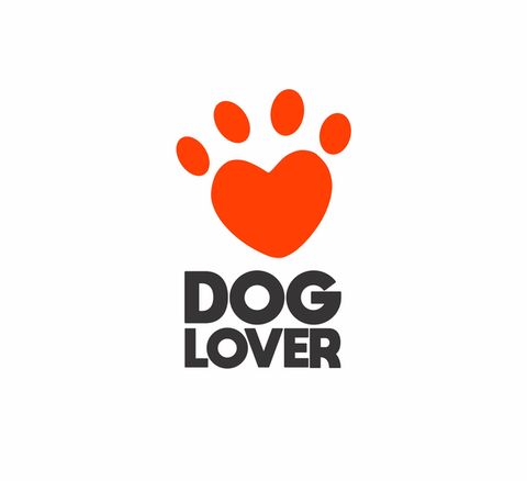 Adiestrador Canino en San Luis Capital | Clases a Domicilio y Grupales