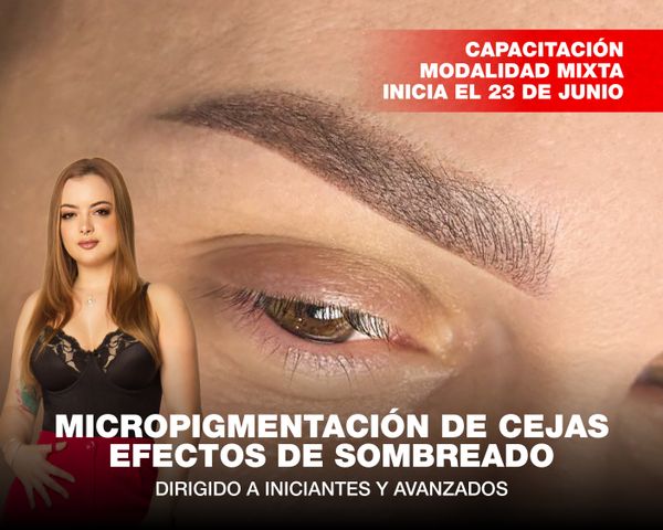 Micropigmentación de Cejas Efectos de Sombreado, Modalidad Mixta - Inicia el 25 de Agosto
