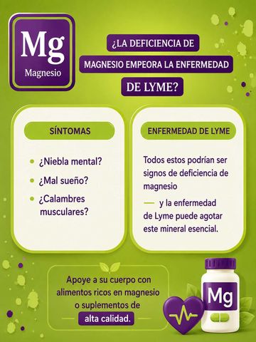 Enfermedad de Lyme y deficiencia de magnesio