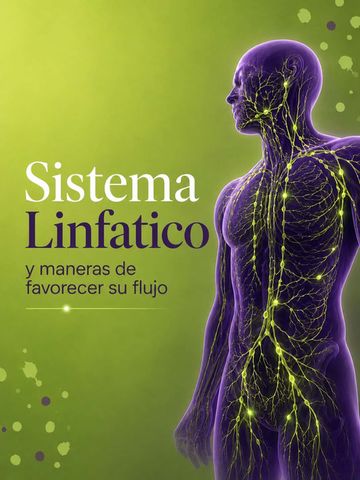 ¿Qué es el sistema linfático y 13 maneras de favorecer el flujo linfático?