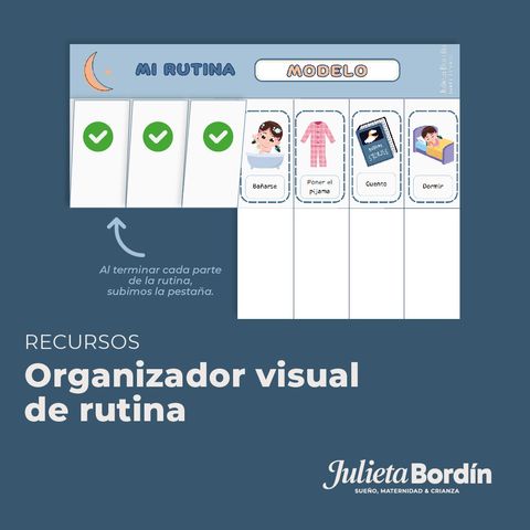 Organizador visual 