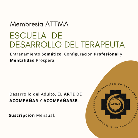 Nivel II Desarrollo del Terapeuta