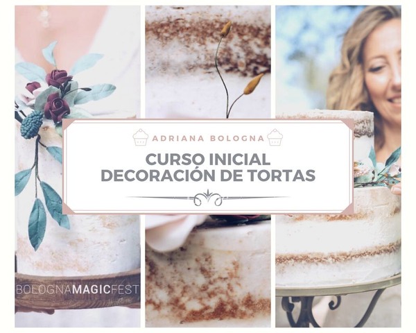 Curso Inicial Decoración de Tortas