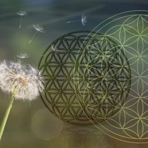 Qué significa la Flor de la Vida?