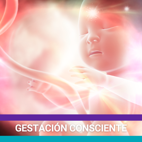 Gestación Consciente