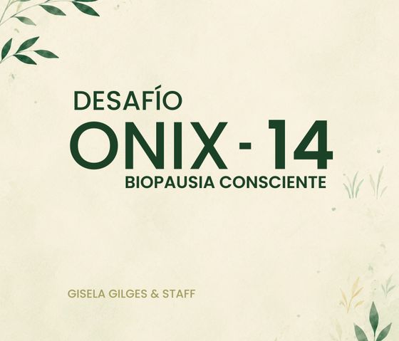 Desafío ONIX-14, 4° edición