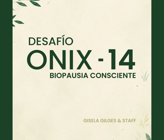 Desafío ONIX-14, 4° edición