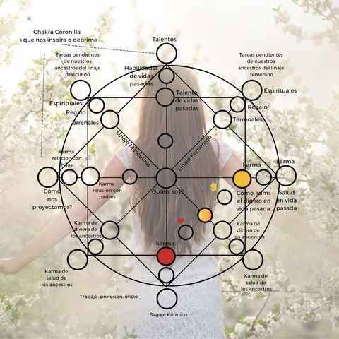 Matriz del destino | Serluna de Oro