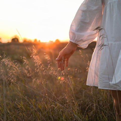 Coaching Holistico | Tarot | Ideal como Punto de partida