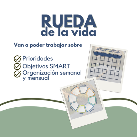 Rueda de la Vida + Objetivos SMART
