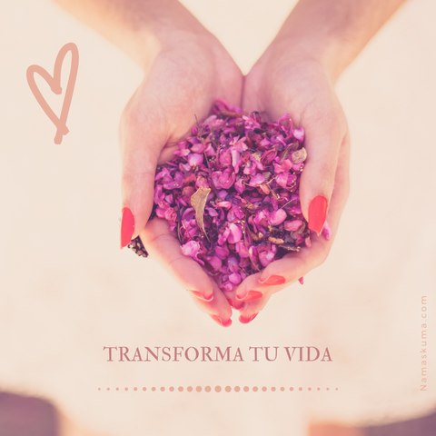 Transforma tu Vida