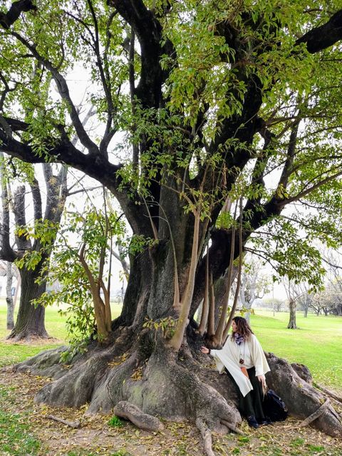 Curso de Genealogía Básico: Semillas Ancestrales. Ser en mi propio Arbol. 