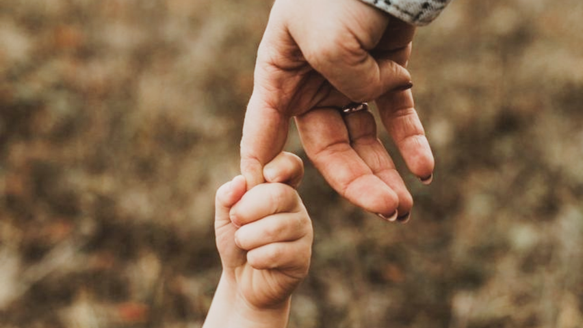 Asesoría para familias sobre Educación Sexual