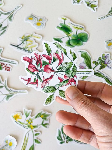 Sticker Nativas. Ceibo
