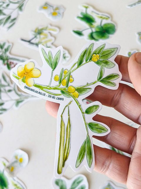 Sticker Nativas. Sen del Campo