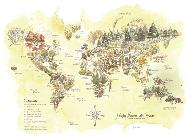 Print Mapa Nativas del Mundo