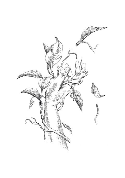 Print. Colección Naturaleza en tinta VI. Renacer.