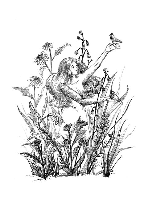 Print. Colección Naturaleza en tinta II. Abundancia.