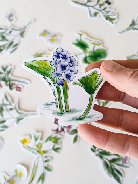 Sticker Nativas. Camalote