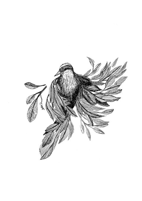 Print.Colección Naturaleza en tinta V. Colibrí.