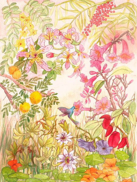 Print Botánica Los colores de mi infancia