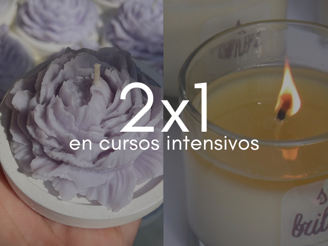 Accedé a ambos cursos: Velas en recipiente y en molde