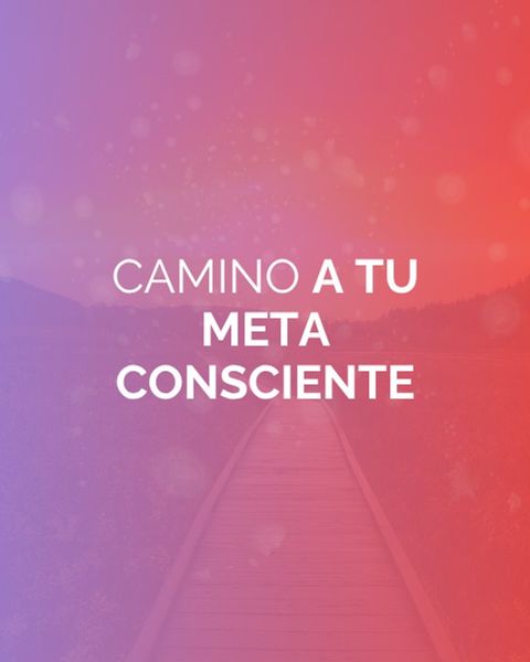 Informe Camino a tu meta consciente