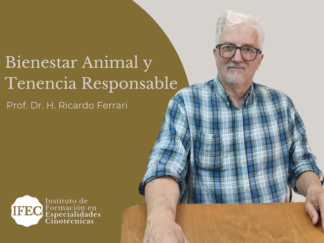 Bienestar Animal y Tenencia Responsable
