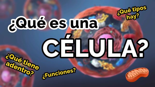 TODO sobre las células
