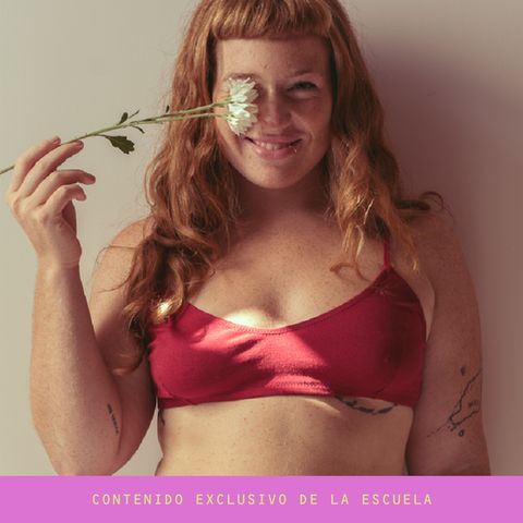 PROYECTO TEXTIL • BÁSICOS CORPIÑOS