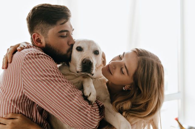 Pets parents: ¿qué pasa con mis mascotas si me separo?