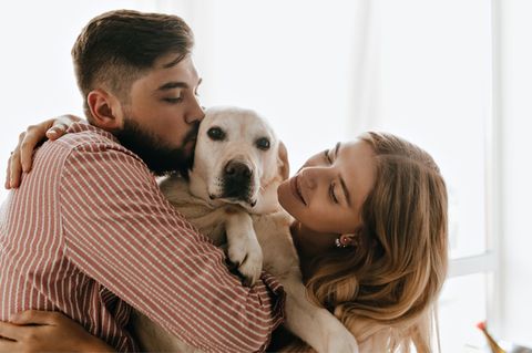 Pets parents: ¿qué pasa con mis mascotas si me separo?