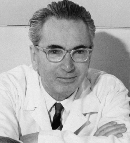 Sanar a través del sentido según Viktor Frankl
