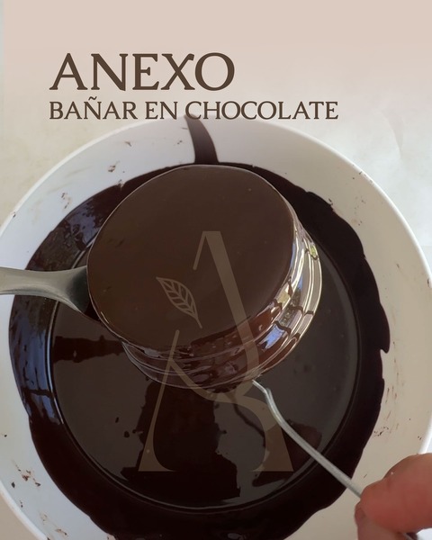 ANEXO 