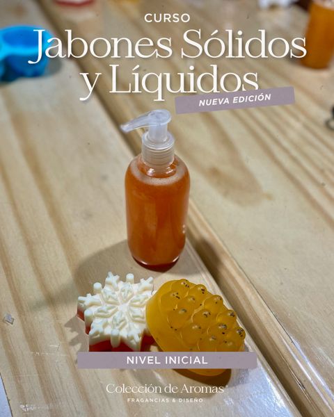 CURSO PRESENCIAL: Jabones Solidos y Liquidos (Nivel Inicial)