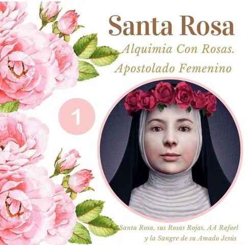 Santa Rosa I - Cámara Mov RC