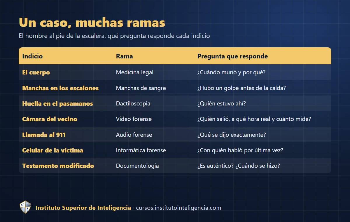 Un caso, muchas ramas: qué pregunta de la investigación responde cada indicio