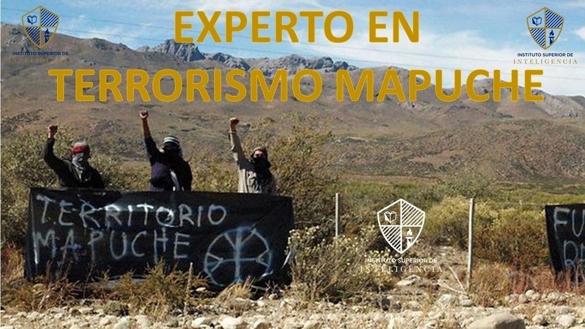 Experto en Terrorismo Mapuche
