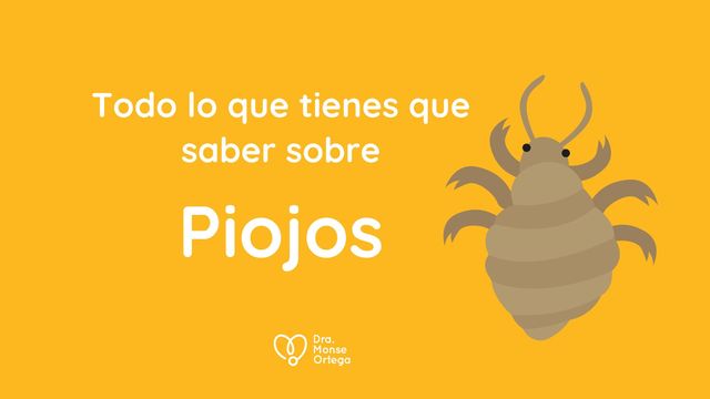 Todo lo que tienes que saber sobre los piojos